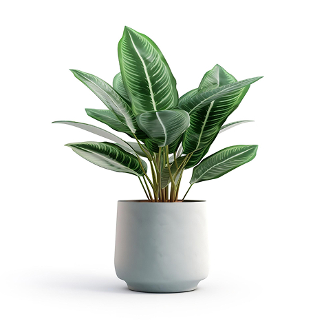 Souvenir Custom Jakarta house plant
